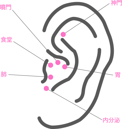 耳つぼ